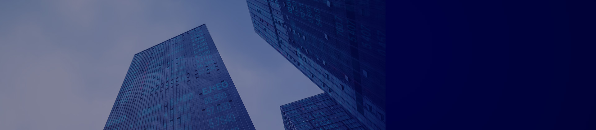 集團資金管理系統解決方案